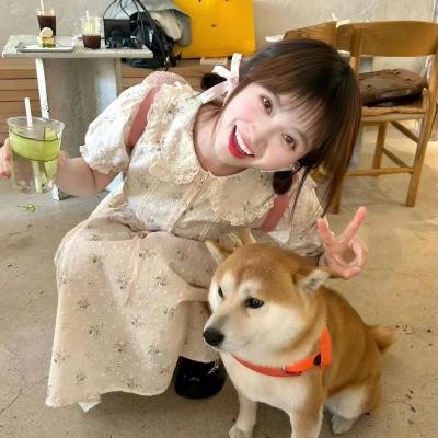 恋上女镖师