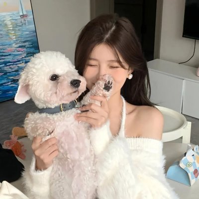 风流十七年